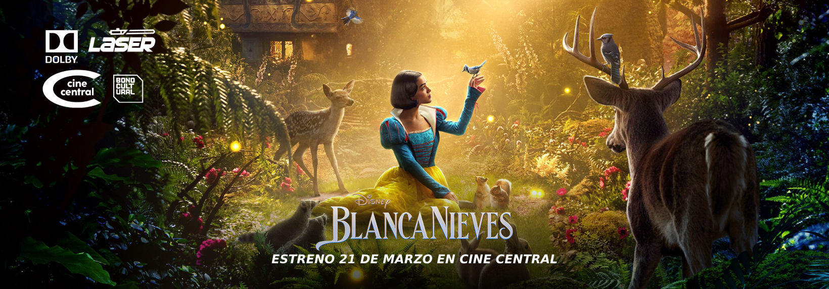 imagen banner